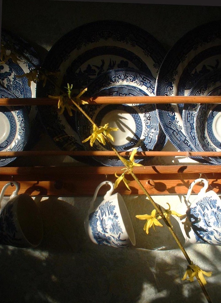 forsythia and bue willow dishes