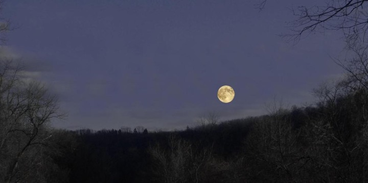 photo of moon over hill