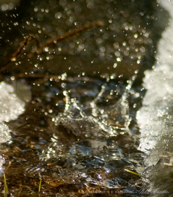 splash of water in puddle