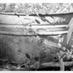 black and white photo of tub with leaves