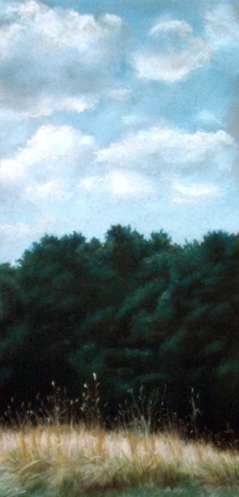 pastel painting of grass, trees and sky