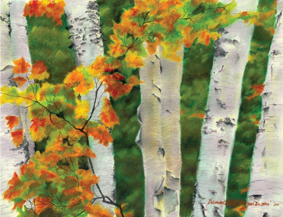 painting of birch trees