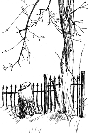 The Wrought Iron Fence