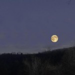 photo of moon over hill