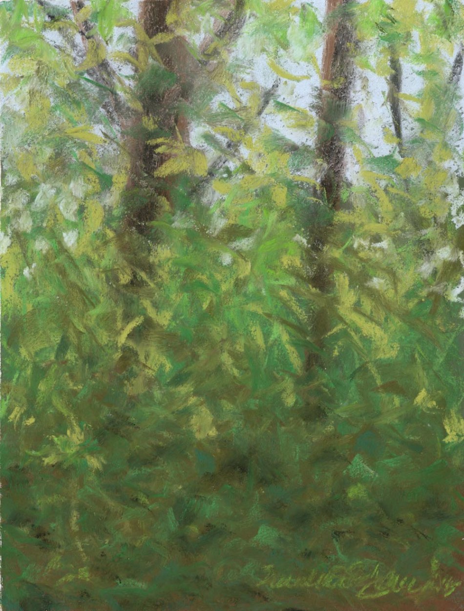 pastel sketch of leafy trees