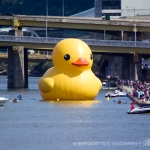 40 ft rubber duck on allegheny river
