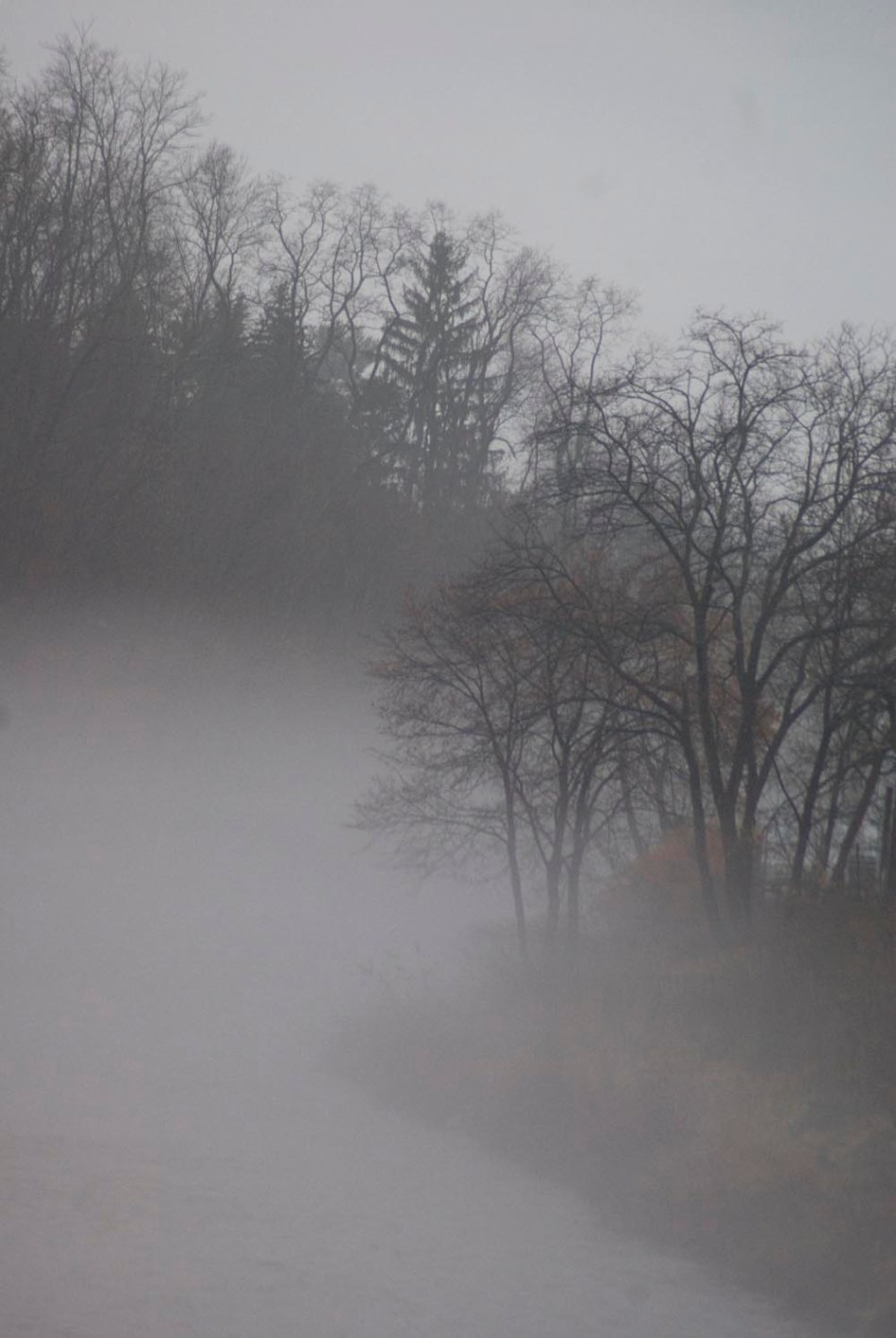 fog at a bend in the creek