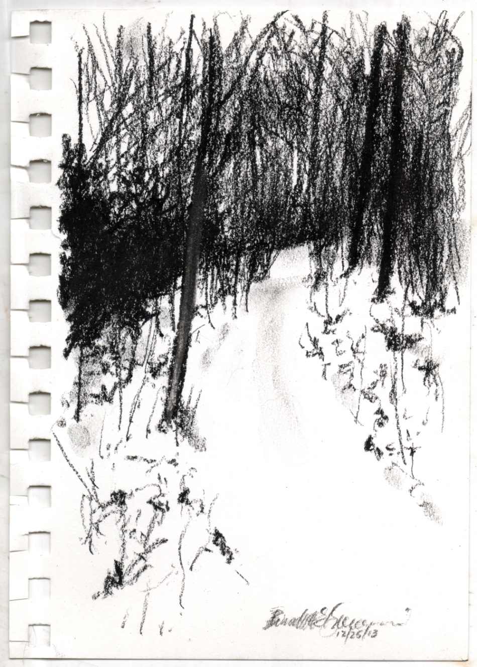 charcoal sketch of path in woods