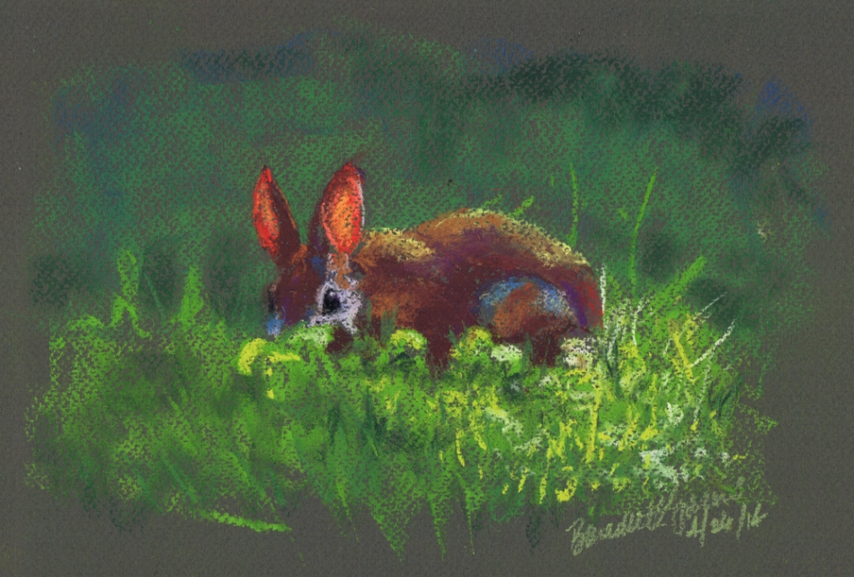 “Backyard Bunny”, soft pastels on pastello paper, 11″ x 8″ © Bernadette E. Kazmarski