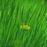 original art original pastel "Spring Grass", pastel on multi-media paper, 7" x 10" © Bernadette E. Kazmarski