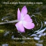 Make a difference.