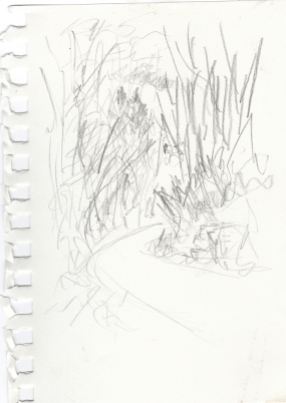 Trail Sketch