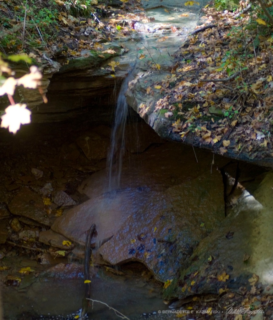 Sweet little waterfall in the shadows.